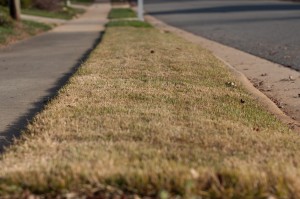 Browning Zenith Zoysia in Falls River Community